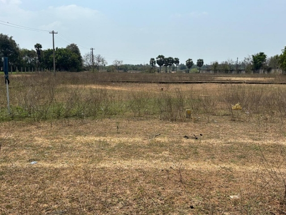 yuvi’s garden pic 4