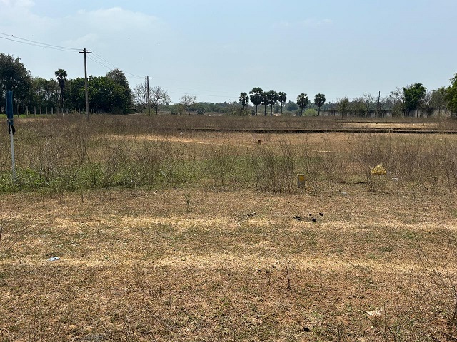 yuvi’s garden pic 4